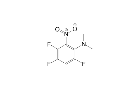 3,4,6-trifluoro-N,N-dimethyl-2-nitroaniline