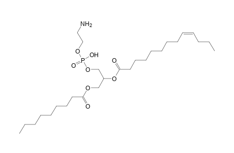 PE 9:0_13:1