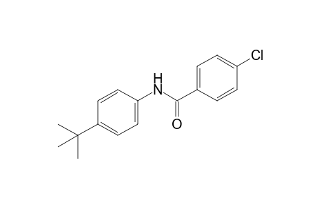 4'-tert-butyl-4-chlorobenzanildie