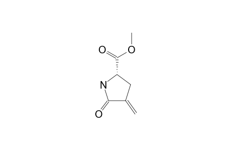 (S)-(+)-METHYL-4-METHYLENE-5-OXO-PYRROLIDIN-2-CARBOXYLATE