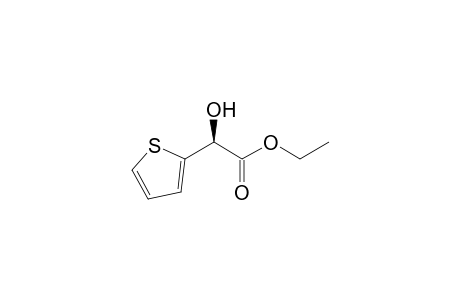 Ethyl (S)-(+)-2-hydroxy-2-(2'-thienyl)acetate