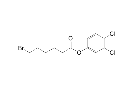 6-Bromohexanoic acid, 3,4-dichlorophenyl ester