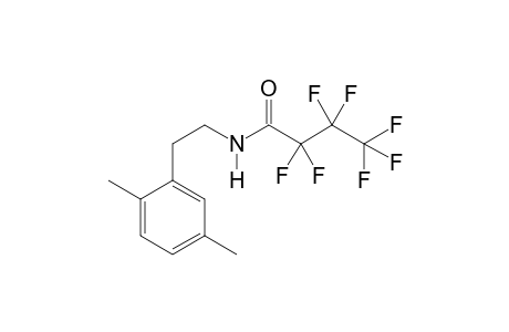 2,5-Dimethylphenethylamine HFB