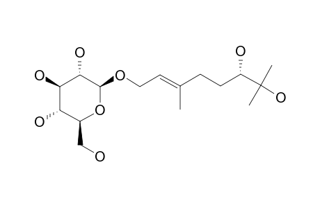 SACHALOSIDE-VII;(S)-3,7-DIMETHYLOCT-(2E)-EN-1,6,7-TRIOL-1-O-BETA-D-GLUCOPYRANOSIDE