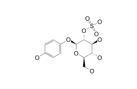 ARBUTIN-2'-SULPHONYL