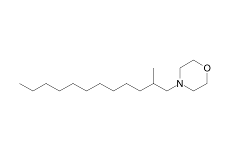 4-(2-Methyldodecyl)morpholine