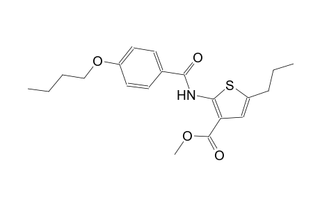 methyl 2-[(4-butoxybenzoyl)amino]-5-propyl-3-thiophenecarboxylate