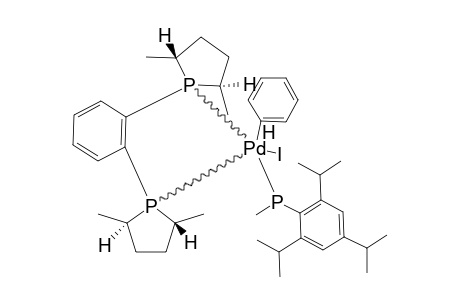 [PD(R,R-ME-DUPHOS)(PH)[P(H)(ME)(IS)]]-[I]