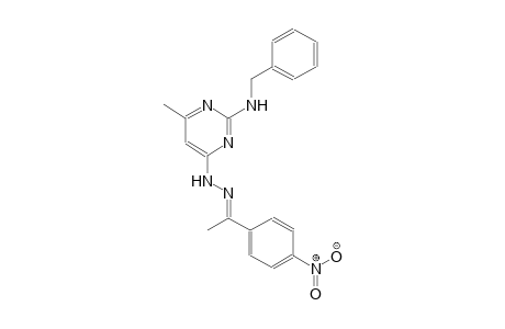 (1E)-1-(4-nitrophenyl)ethanone [2-(benzylamino)-6-methyl-4-pyrimidinyl]hydrazone