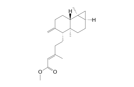 (E)-5-[(1aR,3aS,4R,7aR,7bS)-3a,7b-dimethyl-5-methylene-1,1a,2,3,4,6,7,7a-octahydrocyclopropa[a]naphthalen-4-yl]-3-methyl-2-pentenoic acid methyl ester