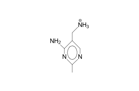 2-Methyl-4-amino-5-pyrimidinylmethylamine cation
