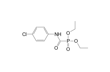 Diethyl N-(p-chlorophenyl)carbamoylphosphonate