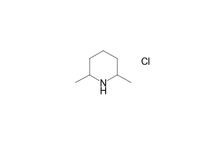 2,6-Dimethylpiperidine hydrochloride