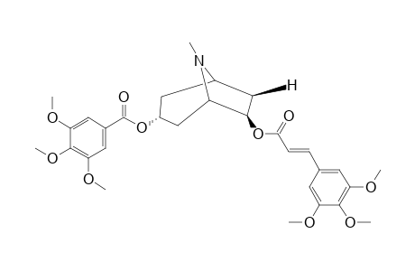 PERVILLEINE-B;3-ALPHA-(3,4,5-TRIMETHOXYBENZOYLOXY)-6-BETA-(E)-(3,4,5-TRIMETHOXYCINNAMOYLOXY)-TROPANE