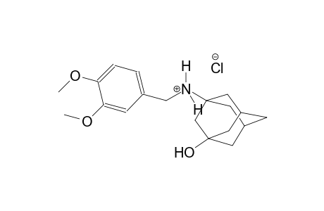 tricyclo[3.3.1.1~3,7~]decan-1-aminium, N-[(3,4-dimethoxyphenyl)methyl]-3-hydroxy-, chloride
