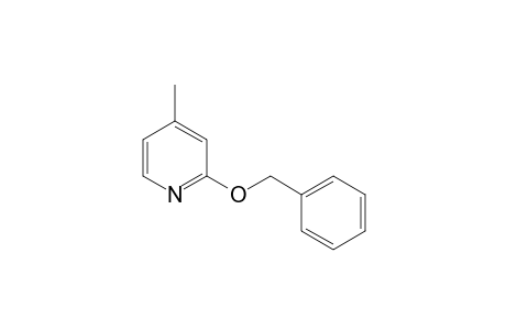 2-benzyloxy-4-methyl-pyridine