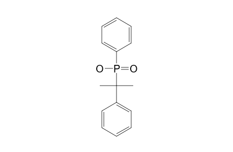 (1-METHYL-1-PHENYLETHYL)-(PHENYL)-PHOSPHINIC-ACID