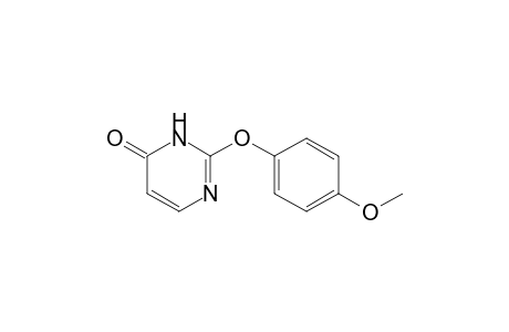 2-(4-Methoxyphenoxy)-1H-pyrimidin-6-one