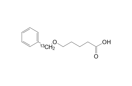 5-Benzyloxy-1-[13C]-pentanoic acid