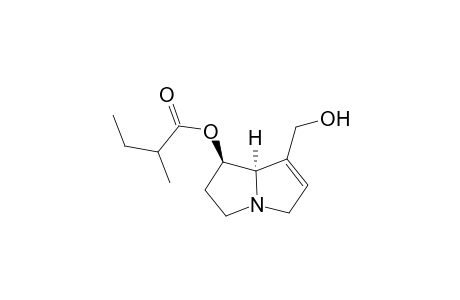 7-(2'-Methylbutyryl)-Retrocenine