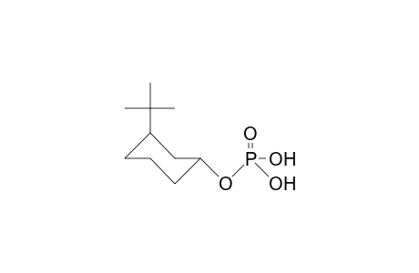 Phosphoric acid, trans-3-tert-butyl-cyclohexyl ester