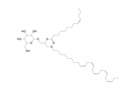 MGDG O-24:5_13:1