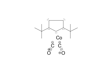Cobalt, dicarbonyl-(1,3-di-t-butylcyclopentadienyl)-