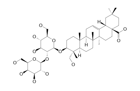 PATENSIN;HEDERAGENIN_3-O-BETA-D-GALACTOPYRANOSYL-(1->2)-BETA-D-GLUCOPYRANOSIDE