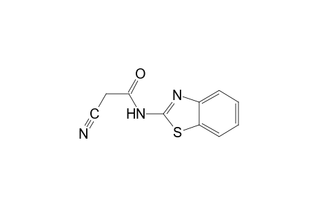 2-cyano-N-(2-benzothiazolyl)acetamide