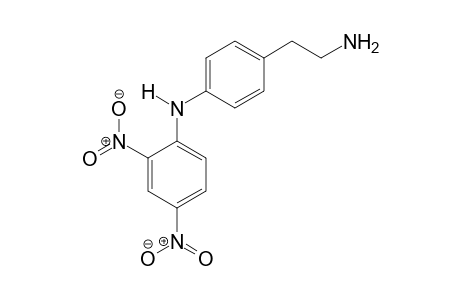 N-(4-(2-aminoethyl)phenyl)-2,4-dinitroaniline