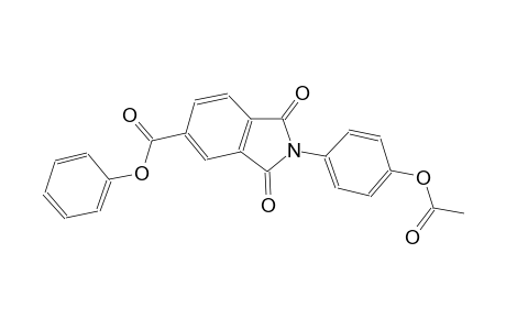 1H-isoindole-5-carboxylic acid, 2-[4-(acetyloxy)phenyl]-2,3-dihydro-1,3-dioxo-, phenyl ester