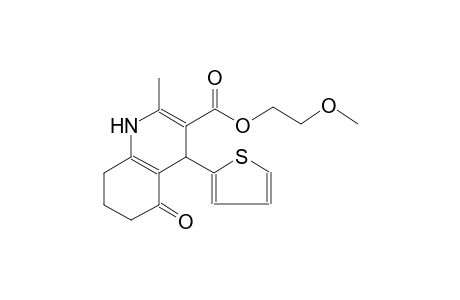 2-Methoxyethyl 2-methyl-5-oxidanylidene-4-thiophen-2-yl-4,6,7,8-tetrahydro-1H-quinoline-3-carboxylate