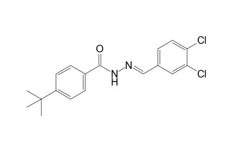 p-tert-butylbenzoic acid, (3,4-dichlorobenzylidene)hydrazide