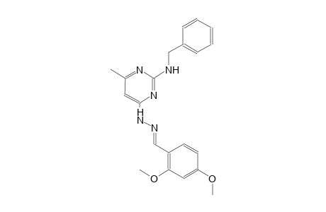 2,4-dimethoxybenzaldehyde [2-(benzylamino)-6-methyl-4-pyrimidinyl]hydrazone