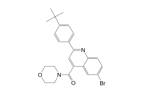 6-bromo-2-(4-tert-butylphenyl)-4-(4-morpholinylcarbonyl)quinoline
