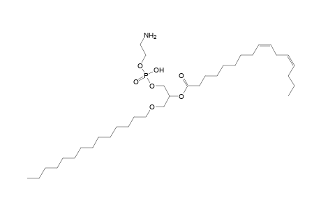 PE O-14:0_16:2