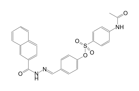 4-{(E)-[2-(2-naphthoyl)hydrazono]methyl}phenyl 4-(acetylamino)benzenesulfonate