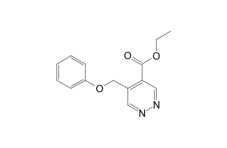 ETHYL-5-PHENOXYMETHYL-4-PYRIDAZINE-CARBOXYLATE