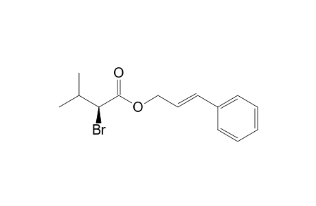 (S)-Cinnamyl 2-bromo-3-methylbutanoate