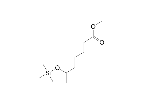Ethyl 6-[(trimethylsilyl)oxy]heptanoate