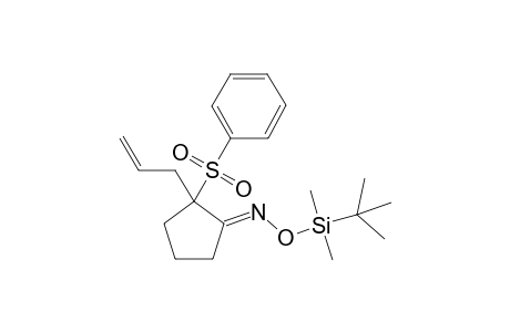 2-Allyl-2-phenylsulfonylcyclopentan-1-one oxime-O-tert-butyldimethylsilyl ether