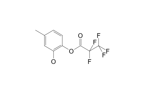 4-Methylcatechol PFP