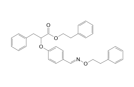 Phenethyl 2-[4-(phenethyloxyimino-methyl)phenoxy]-3-phenyl-propanoate