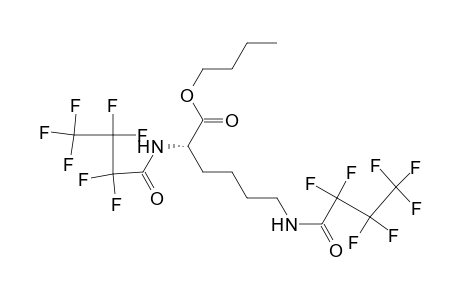 Butyl N,N'-bis(heptafluorobutyryl)-lysine
