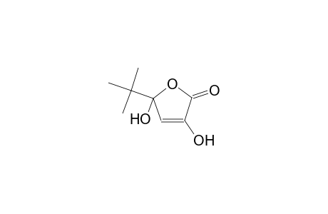 5-tert-butyl-3,5-dihydroxy-2(5H)-furanone