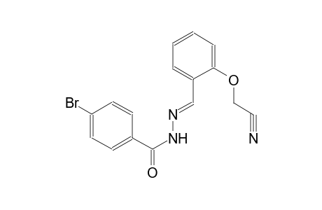 4-bromo-N'-{(E)-[2-(cyanomethoxy)phenyl]methylidene}benzohydrazide