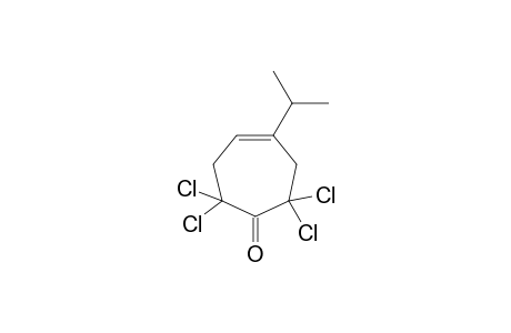 2,2,7,7-tetrachloro-4-propan-2-ylcyclohept-4-en-1-one