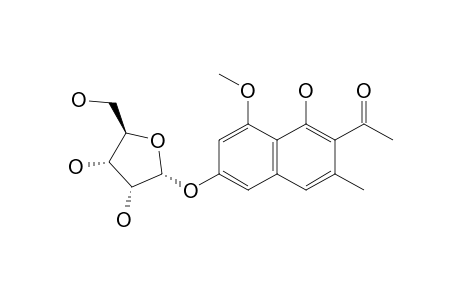 ISOTORACHRYSONE-6-ALPHA-D-RIBOFURANOSIDE