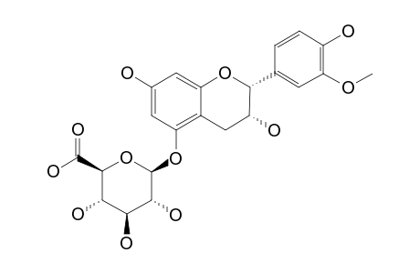 3'-O-METHYLEPICATECHIN-5-O-BETA-D-GLUCURONIDE