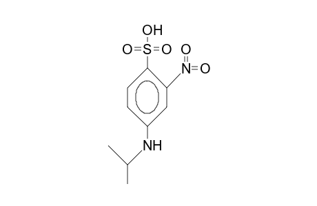 4-Isopropylamino-2-nitro-benzenesulfonic acid